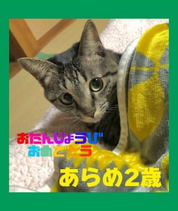 作例