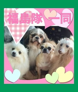 作例