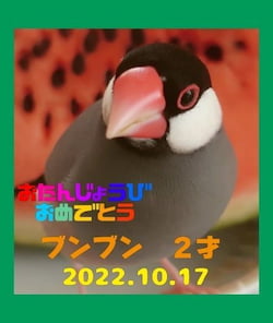 作例