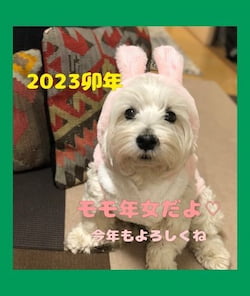 作例