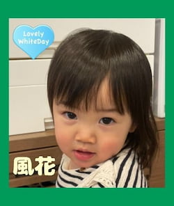 作例