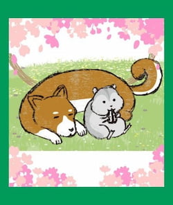 作例