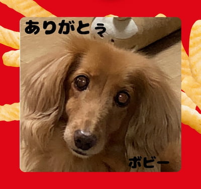 作例