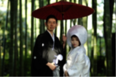 使用写真イメージ