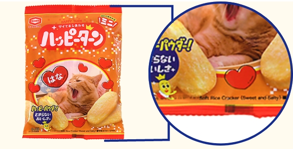 デザインイメージ