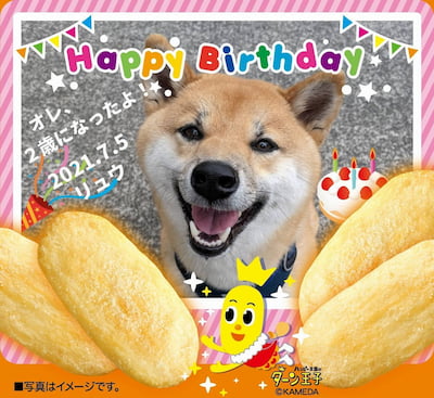 作例