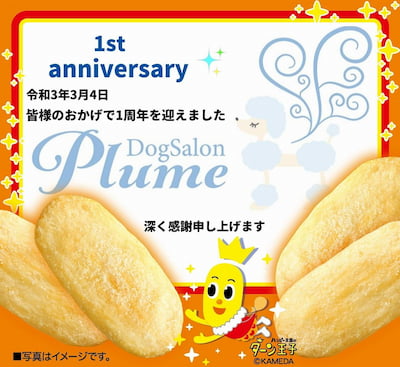 作例