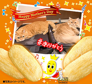 作例
