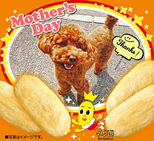 作例