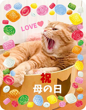 作例