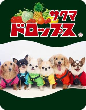 飴のプチギフトにはサクマデコドロップス