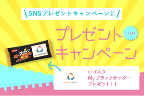 利用イメージ
