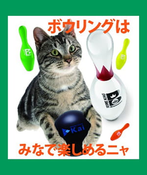 デコじゃがりこ利用例