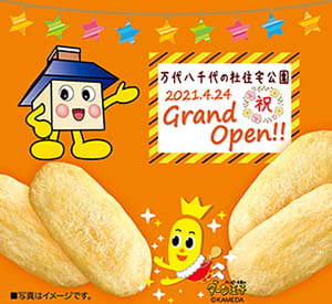 利用例