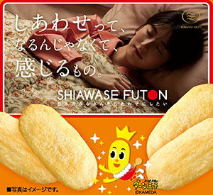 利用例