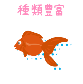 種類豊富