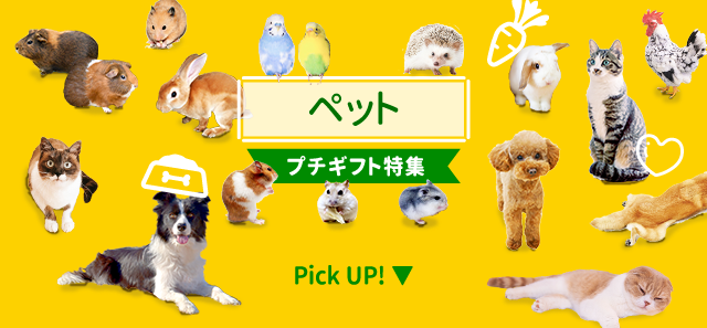 ペット