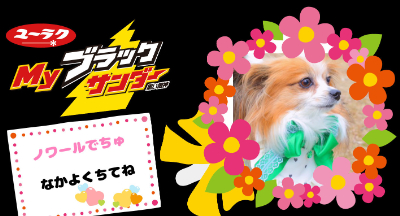 作例