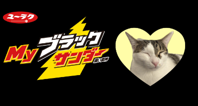 作例