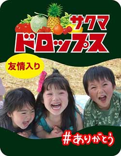 作例
