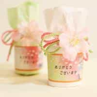 桜のたよりバスタイム