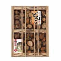 九州産原木どんこ椎茸（木箱入）