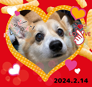 作例