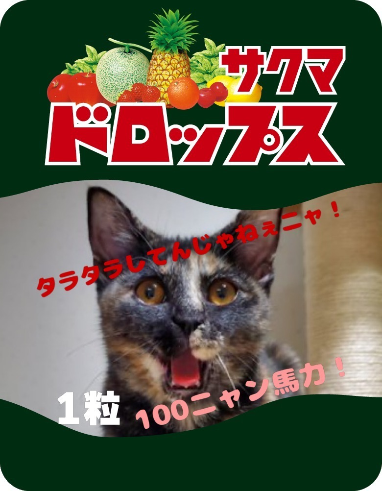 作例