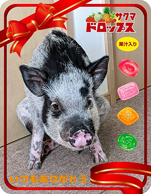作例