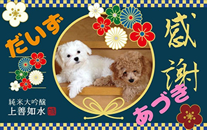 作例
