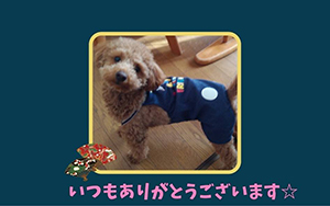 作例