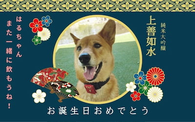 作例