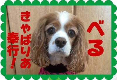 作例