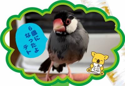 作例