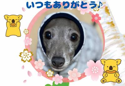 作例