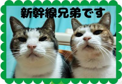 作例