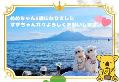 作例