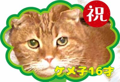 作例
