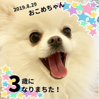 作例