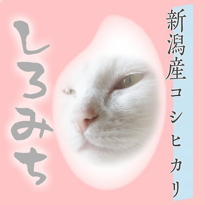 作例