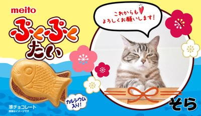 作例