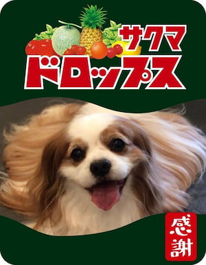 作例
