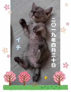 作例