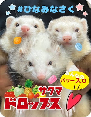 作例