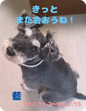 作例