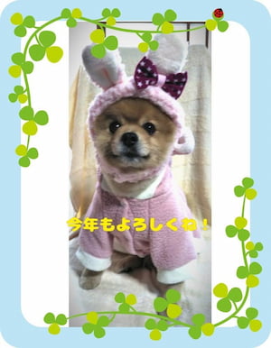 作例