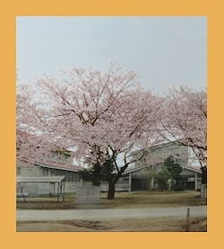 作例